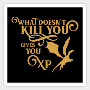 What Doesn't Kill You Gives You XP Gamemaster Tabletop RPG Addict Magnet